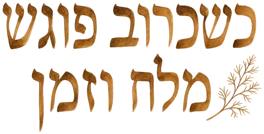 כשכרוב פוגש מלח וזמן