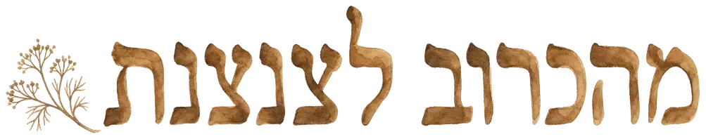 מהכרוב לצנצנת